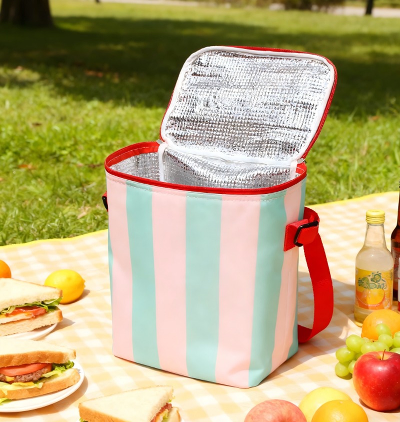 Custom Collapsible Insulated Cooler Bag Travel - product view 1
